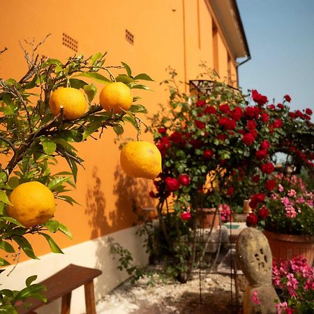 B&B Aesis La Dolce Collina Iesi Exterior photo