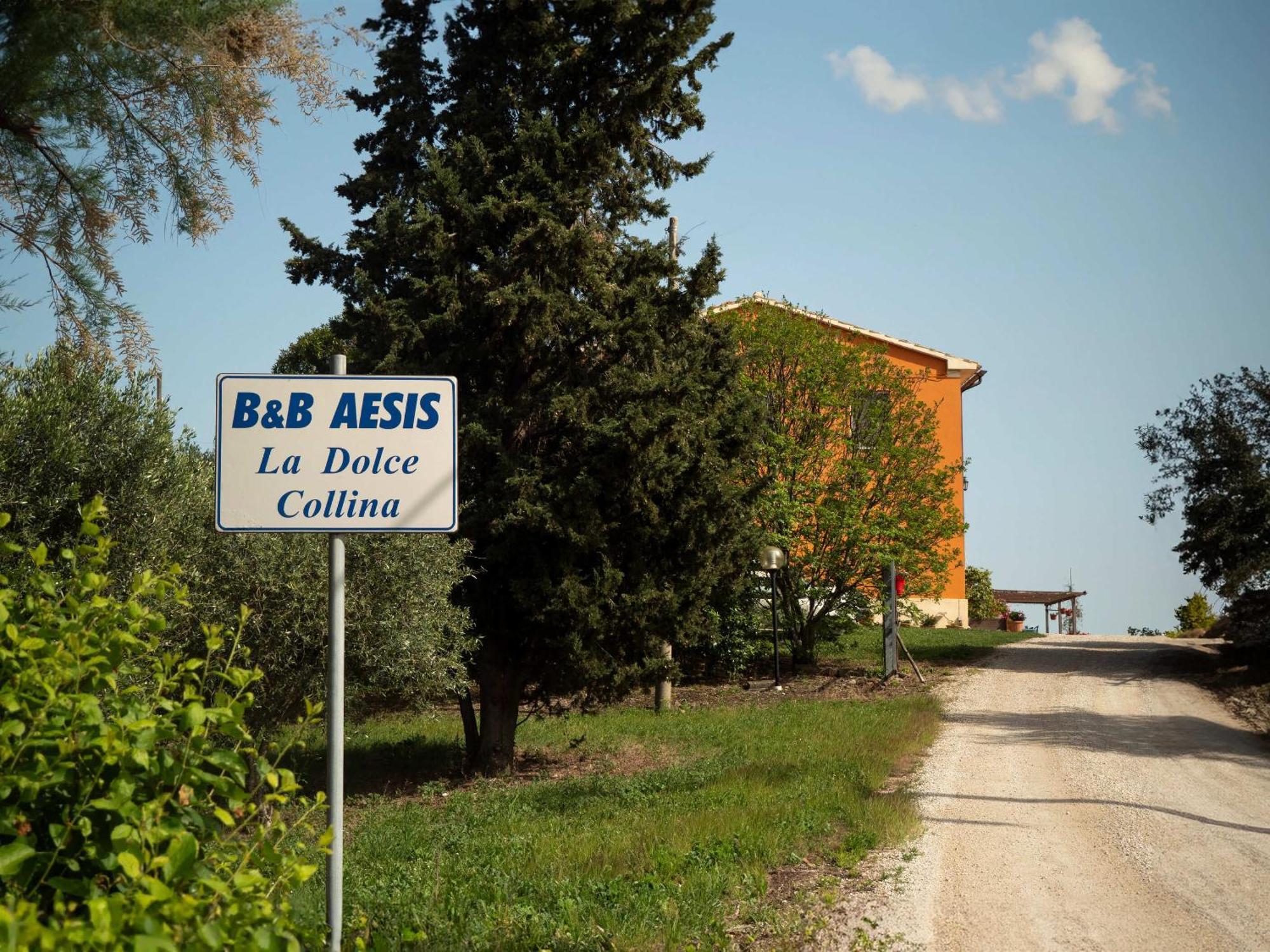 B&B Aesis La Dolce Collina Iesi Exterior photo