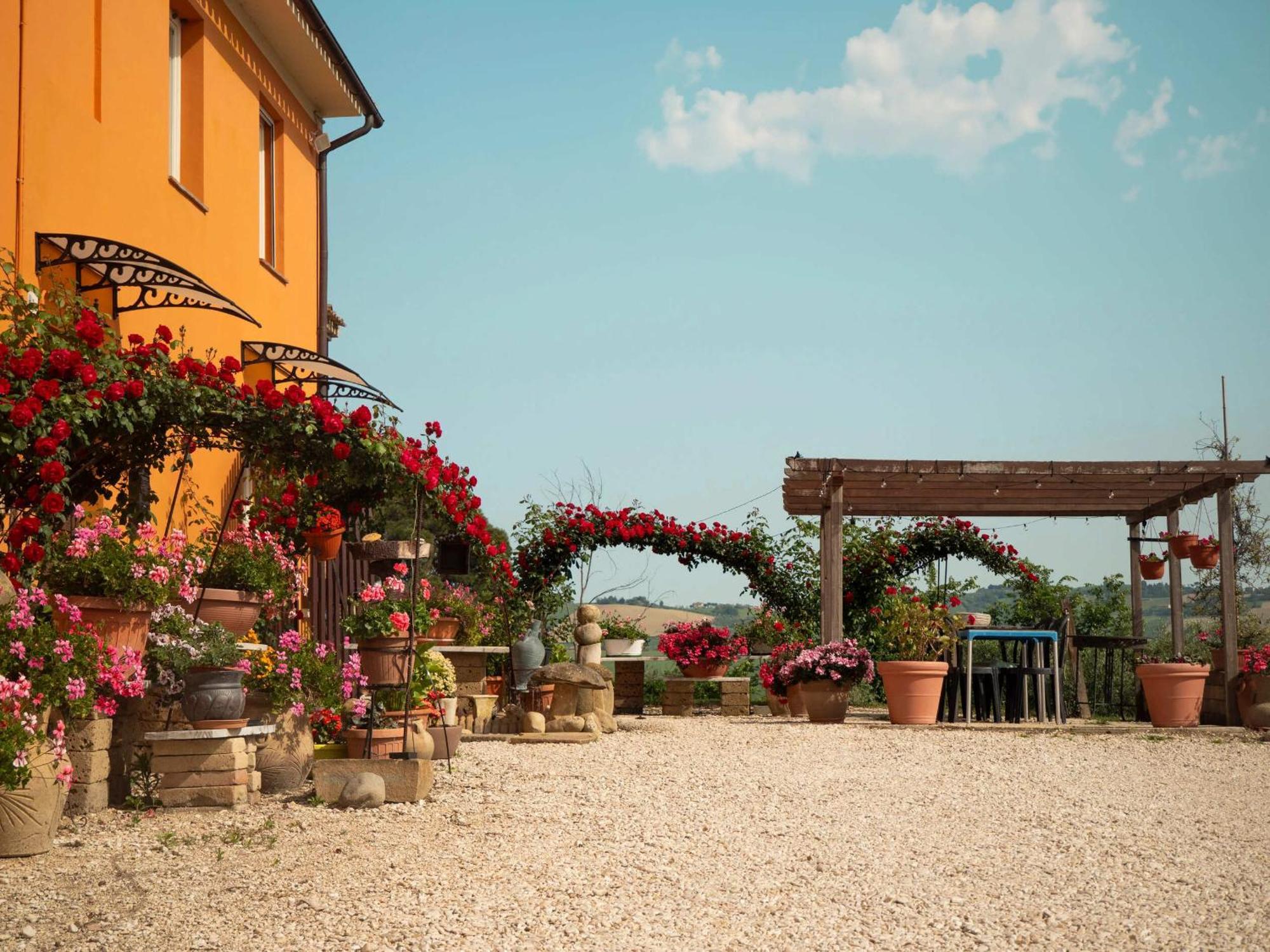 B&B Aesis La Dolce Collina Iesi Exterior photo