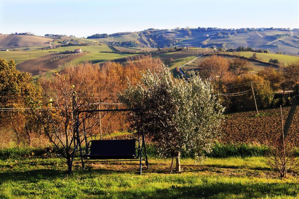 B&B Aesis La Dolce Collina Iesi Exterior photo